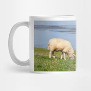 Sheep on a dyke, North Sea resort of Dangast, Varel-Dangast Mug